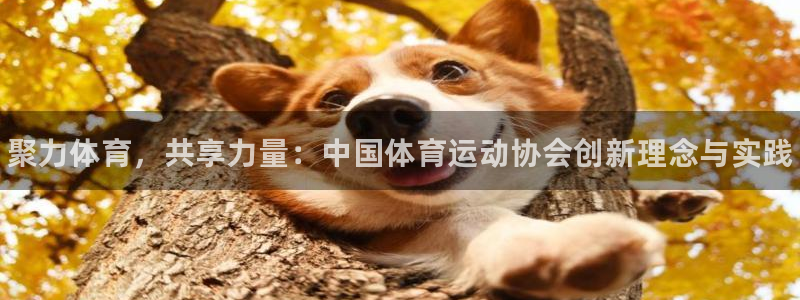注册3377体育官方正版app：聚力体育，共享力量：