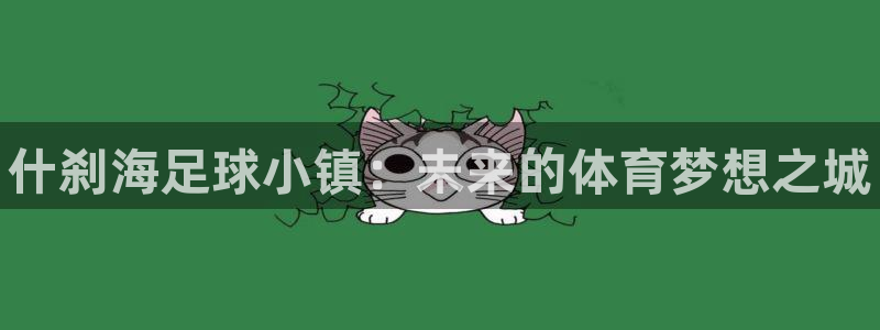 3377体育官方正版app五金厂：什刹海足球小镇：未