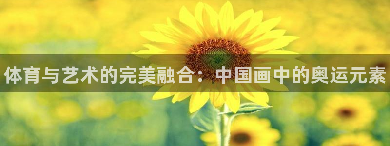 3377体育官方正版app娱乐：体育与艺术的完美融合