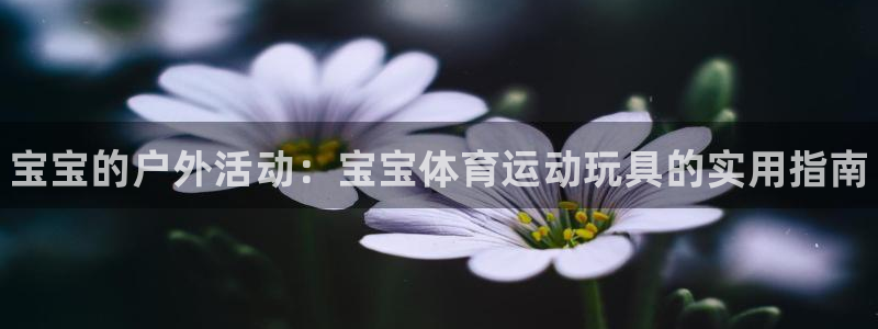 3377体育官方正版app新能源：宝宝的户外活动：宝