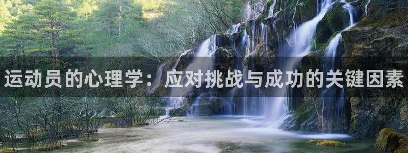 3377体育官网下载平台注册要钱吗：运动员的心理学：