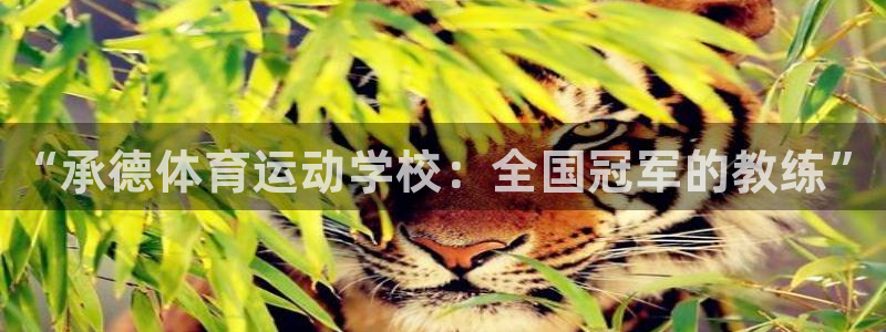 3377体育官方正版app代理：“承德体育运动学校：