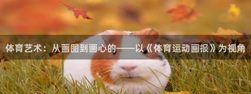 3377体育官网下载招商电话地址：体育艺术：从画图到