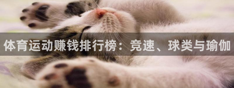 3377体育官网下载平台是正规平台吗安全吗：体育运动赚钱排行