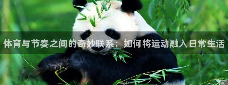 3377体育官网下载招商：体育与节奏之间的奇妙联系：