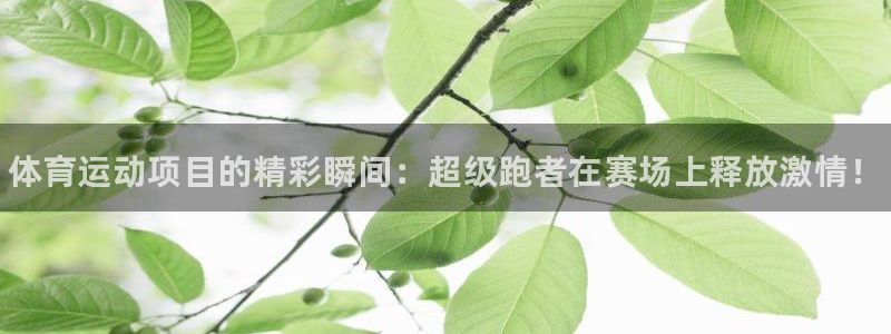 3377体育官网下载：体育运动项目的精彩瞬间：超级跑