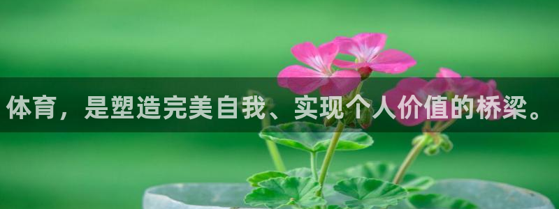 3377体育官网下载开户：体育，是塑造完美自我、实现