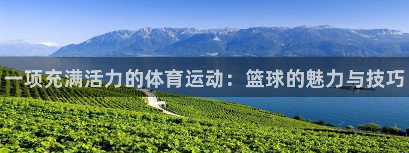 3377体育官方正版app娱乐网站：一项充满活力的体