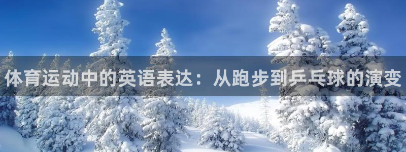 3377体育官方正版app娱乐40996：体育运动中