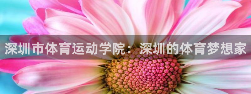 3377体育官网下载开户：深圳市体育运动学院：深圳的