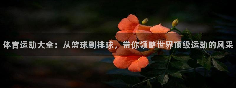 3377体育官网下载开户：体育运动大全：从篮球到排球，带你领