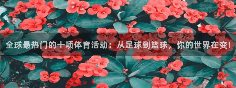 3377体育官网下载招商电话是多少：全球最热门的十项体育活动