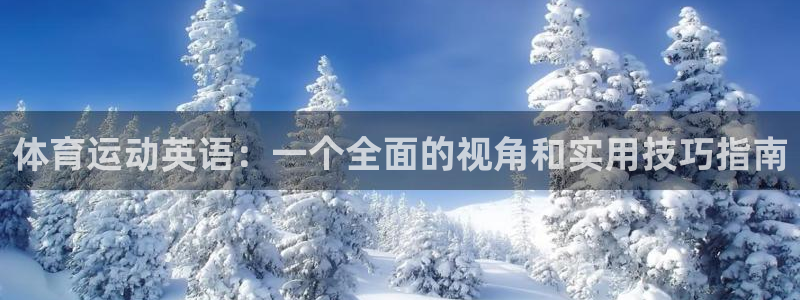 3377体育官方正版app集团logo：体育运动英语：一个全