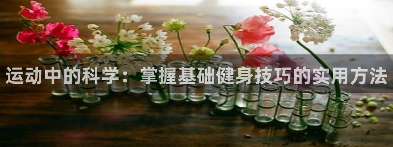3377体育官网下载招商电话是多少
