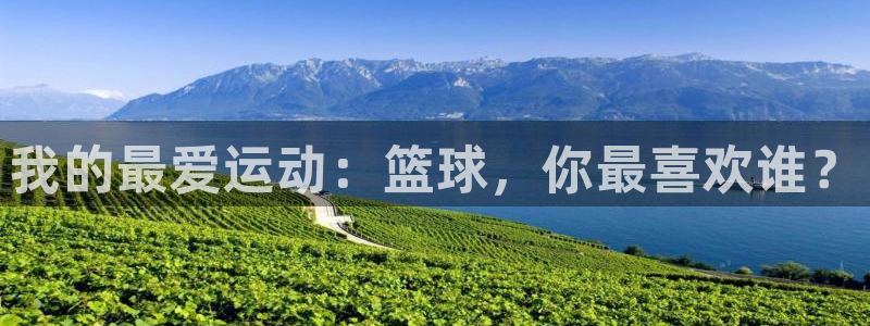 3377体育官网下载开户