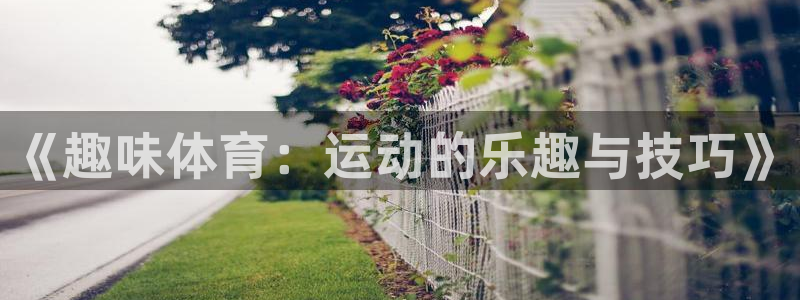 3377体育官网下载平台注册要钱吗是真的吗：《趣味体育：运动