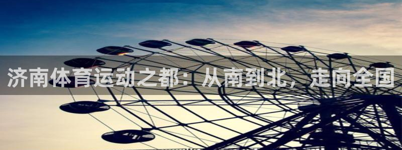3377体育官方正版app集团简介