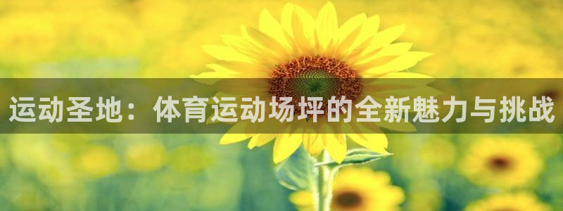 3377体育官方正版app娱乐是那个系列的台子