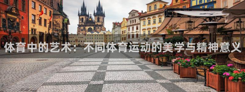 3377体育官网下载招商电话：体育中的艺术：不同体育运动的美