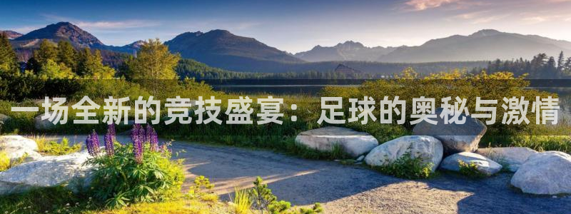 3377体育官方正版app娱乐网站：一场全新的竞技盛