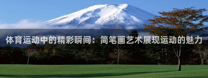 3377体育官网下载招商电话地址：体育运动中的精彩瞬间：简笔