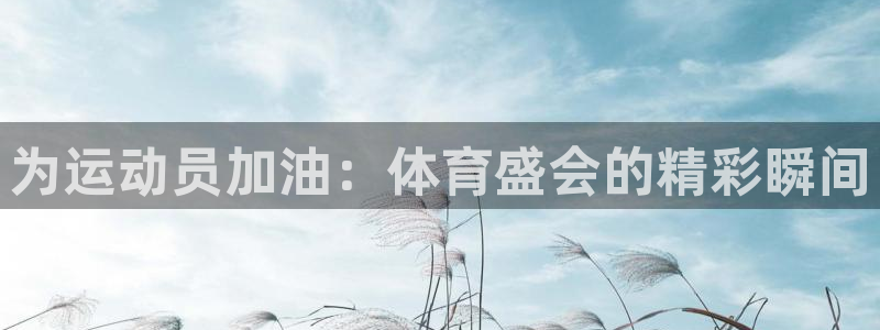 3377体育官方正版app娱乐代理怎么样