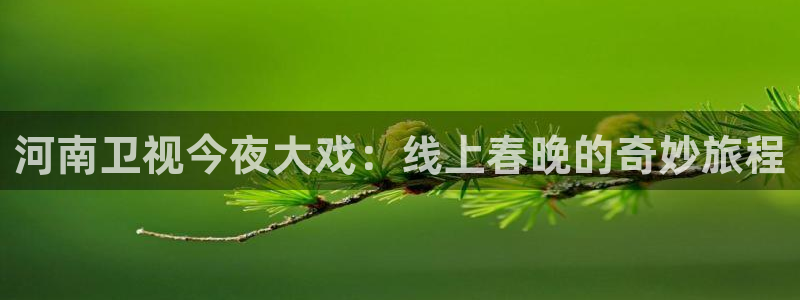 wnba直播免费观看说球帝：河南卫视今夜大戏：线上春晚的奇妙旅程