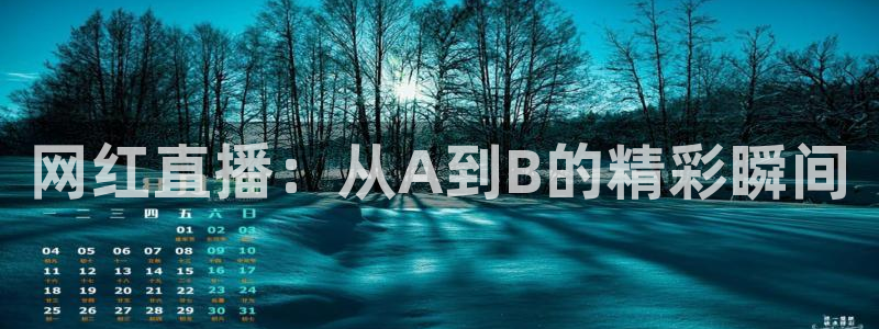 nba直播免费高清无插件直播说球帝：网红直播：从A到B的精彩瞬间