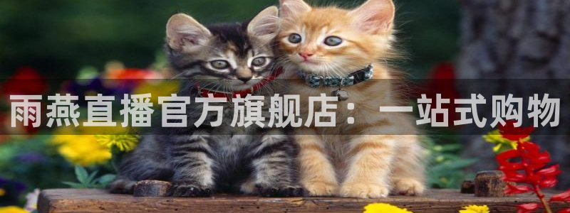 说球帝体育足球篮球五大联赛24小时实时直播：雨燕直播官方旗舰店：一站式购物