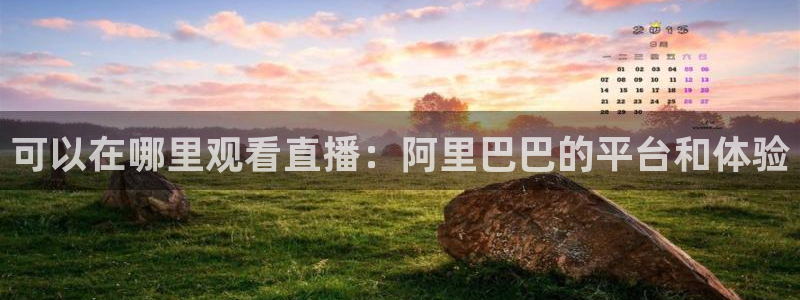 说球帝在线直播app下载：可以在哪里观看直播：阿里巴巴的平台和体验