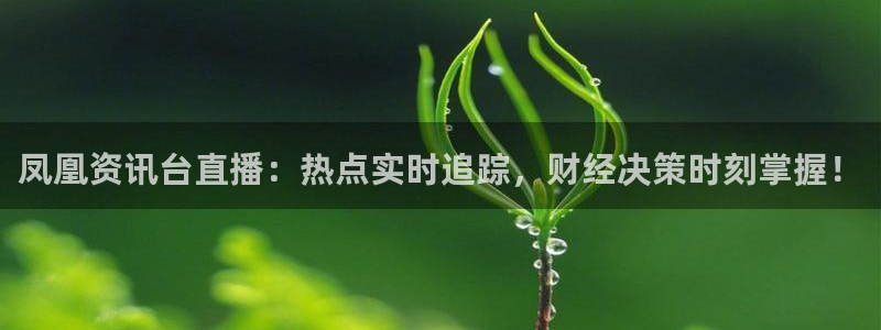 说球帝看球直播：凤凰资讯台直播：热点实时追踪，财经决策时刻掌握！